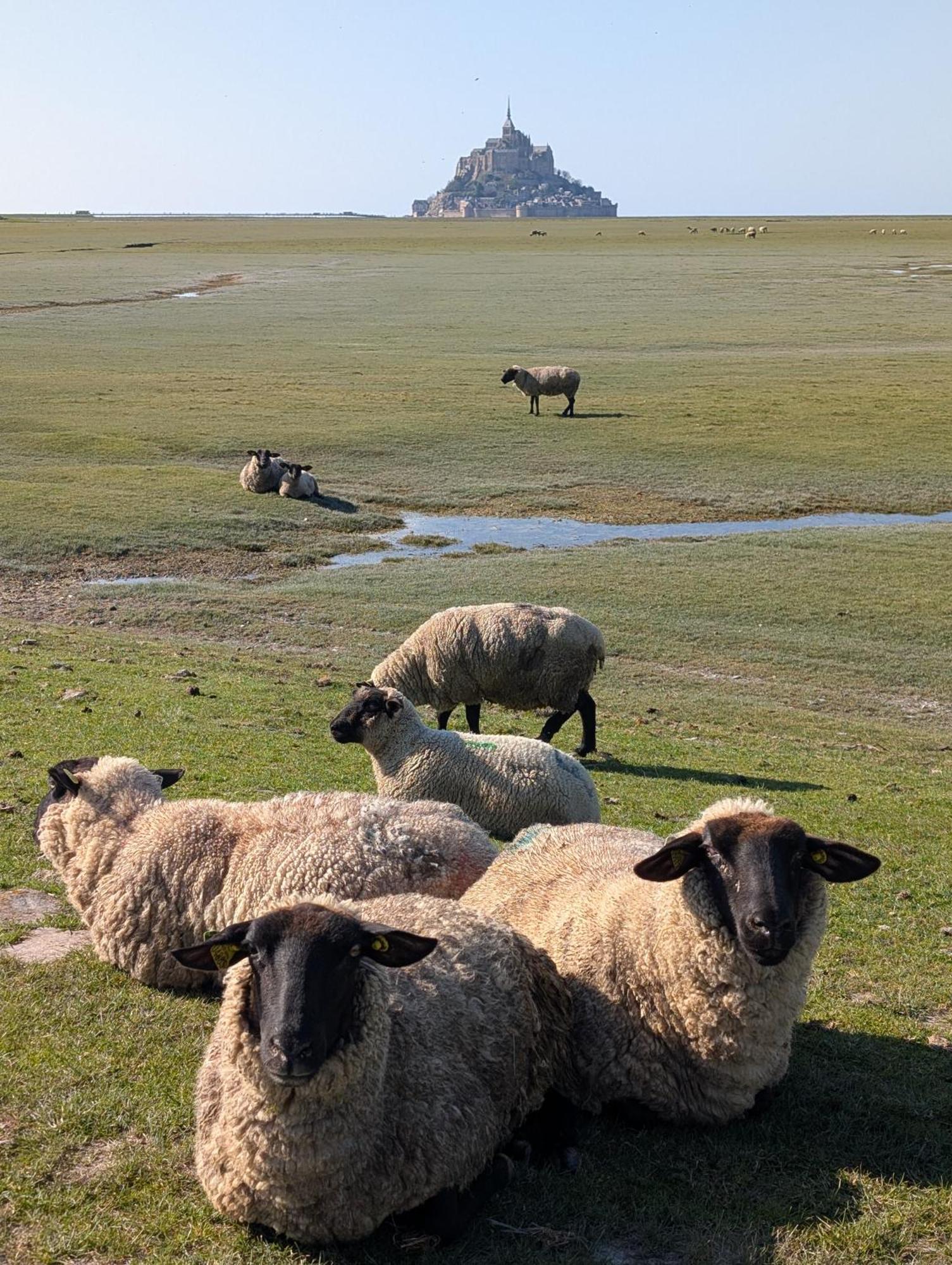 Bed and Breakfast A L Ombre Du Mont Saint Michel à Huisnes-sur-Mer Extérieur photo