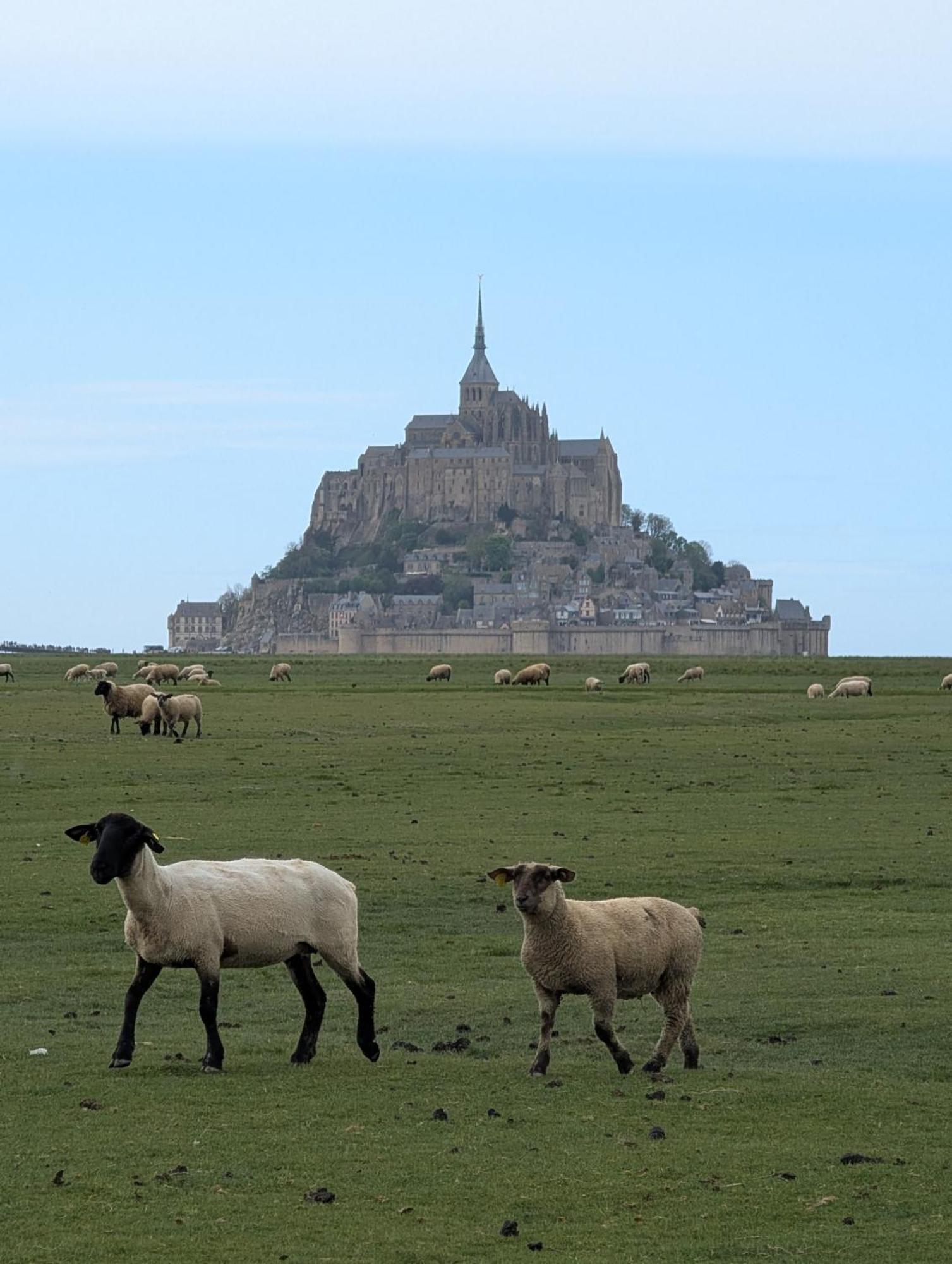 Bed and Breakfast A L Ombre Du Mont Saint Michel à Huisnes-sur-Mer Extérieur photo